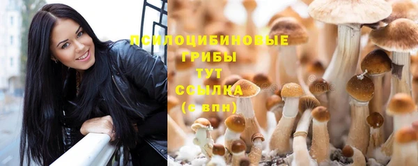 jwh Армянск