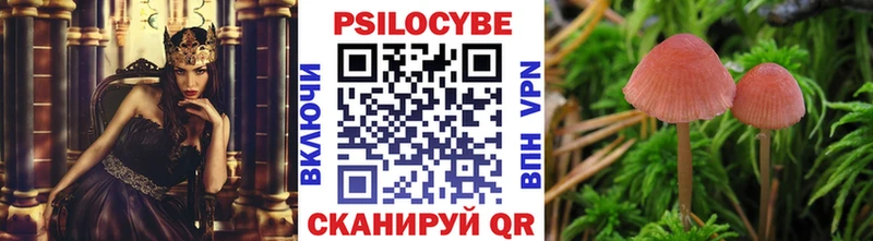Галлюциногенные грибы Psilocybe  Котельники 