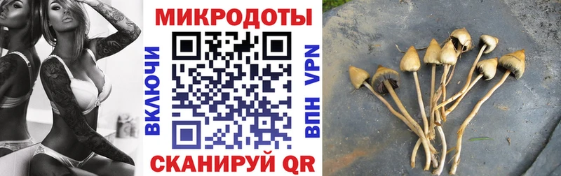 Галлюциногенные грибы прущие грибы Котельники