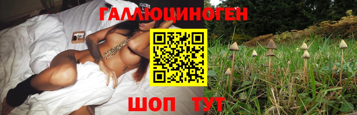 Котельники  Псилоцибиновые грибы Psilocybine cubensis  Вход с VPN  Галлюциногенные грибы Psilocybine cubensis 
